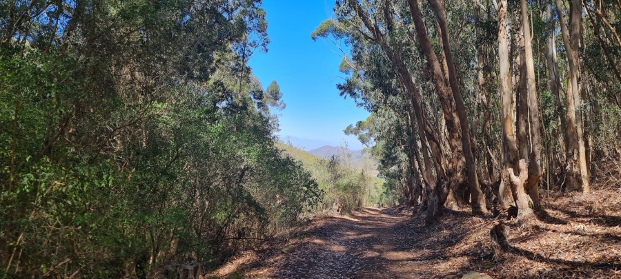 Commercial Property for Sale in Robertson Rural Western Cape